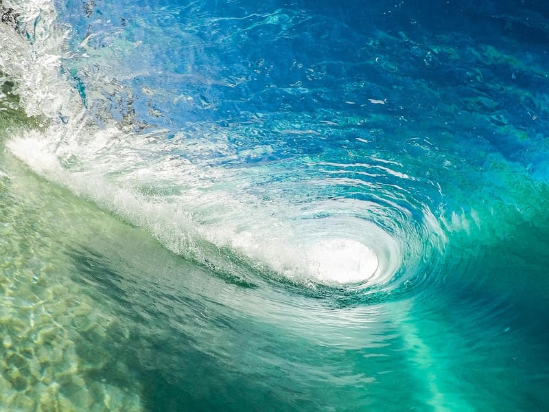 Surfer in wetsuit